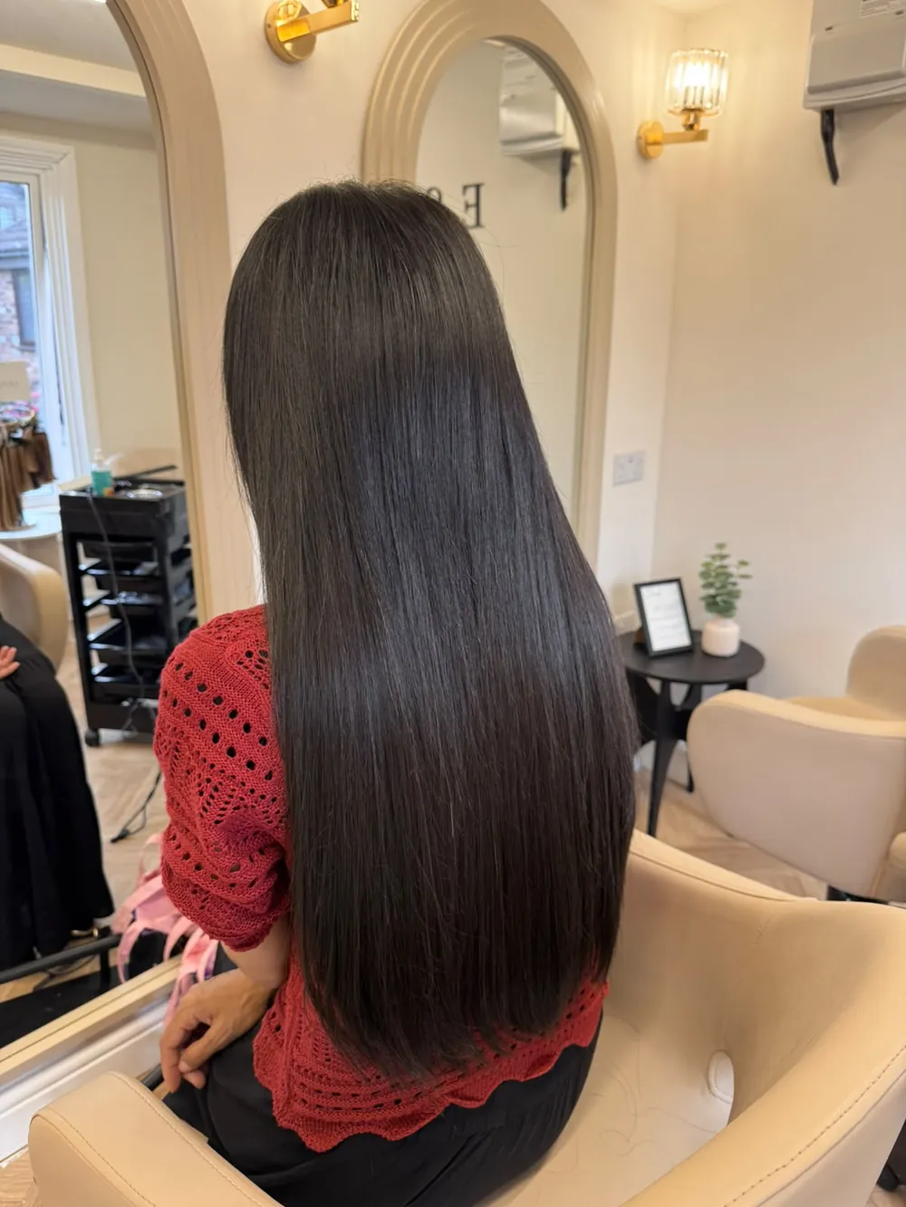 Long, straight, glossy dark-brown hair